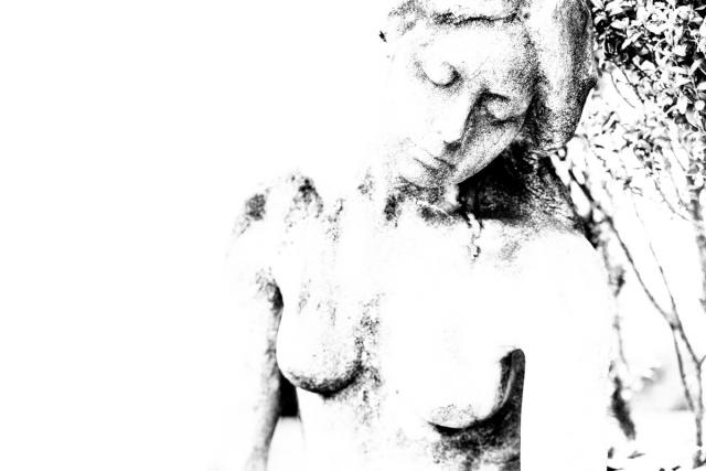 Memories (31)